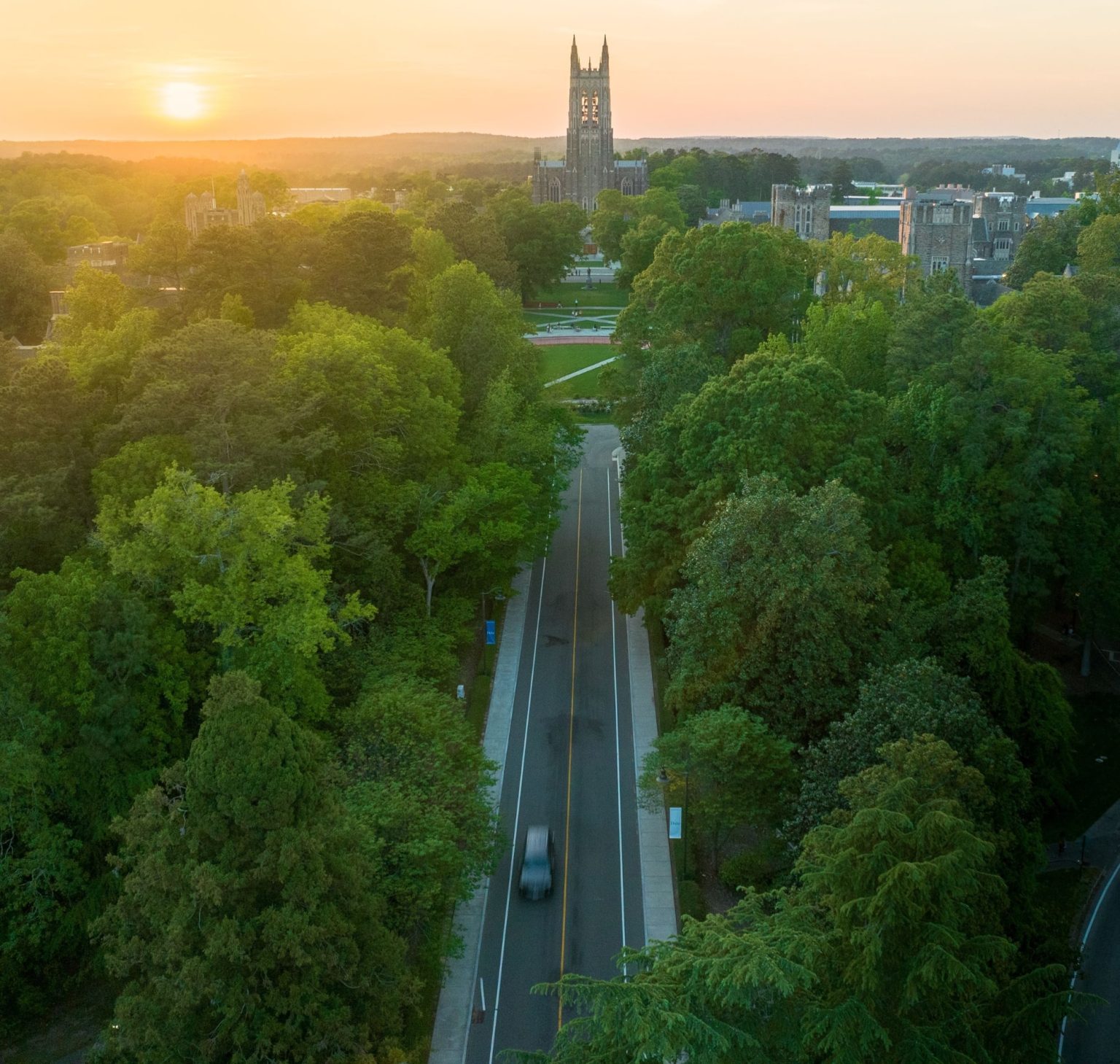 New Townhomes For Sale in Durham NC Arbor Vista